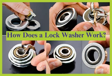 Spring Lock Washer 的图像结果