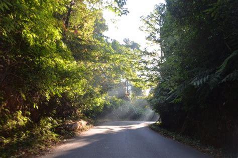 Kudremukh National Park (Chikmagalur) - 2021 What to Know Before You Go ...