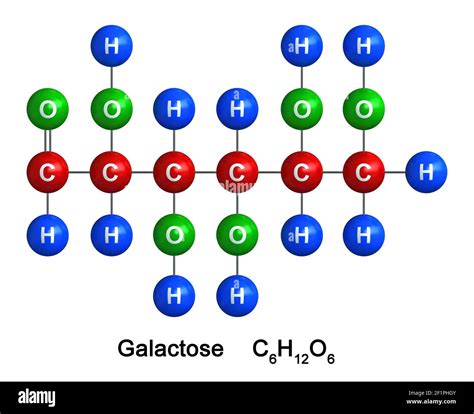 Molecular Structure Of Galactose Monosaccharides Definition,