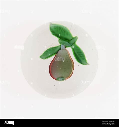 New England Glass Company. Paperweight. 1875–1900. United States. Glass ...