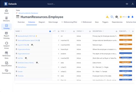 Metadata Management Tools 的图像结果