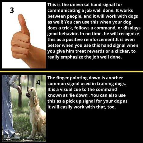 Image result for Service Dog Hand Signals