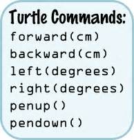 Image result for Free Turtle Programming