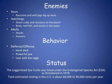 Loggerhead sea turtle jadyn | PPT