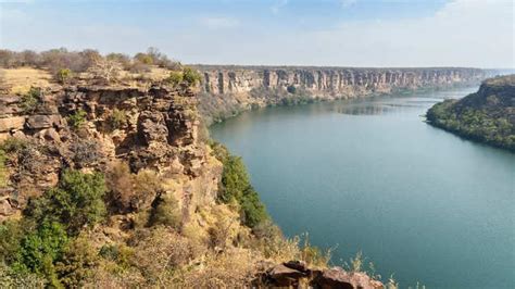 River and its gharials–rich biodiversity of National Chambal Sanctuary ...
