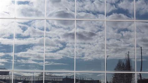 Window Tinting Secrets 的图像结果