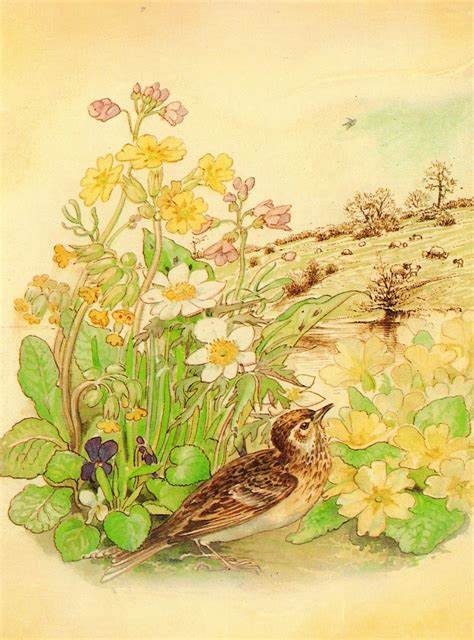 Skylark by Edith Holden in 2021 | Edith holden, Cottagecore painting ...