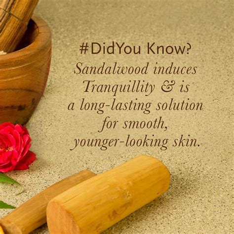 Multani Mitti Face Pack For Skin Whitening - Kama Ayurveda