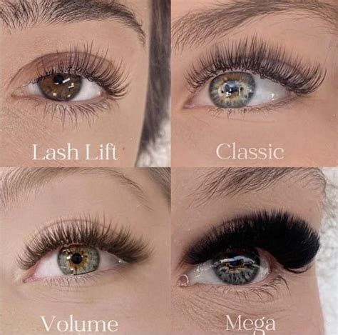 Lash Extension Tutorial Classic 的图像结果
