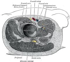Image result for O2C Process Mining