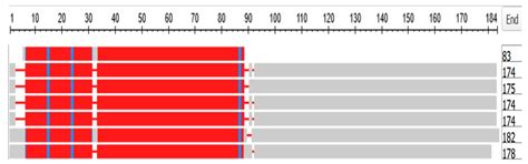 Orthologs at the Base of the Olfactores Clade