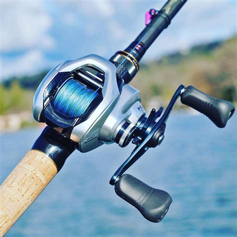 Best Shimano Baitcaster 2024 (Best Shimano Baitcasting Reel)