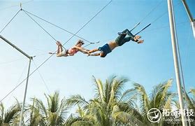 Image result for trapeze 空中飞人
