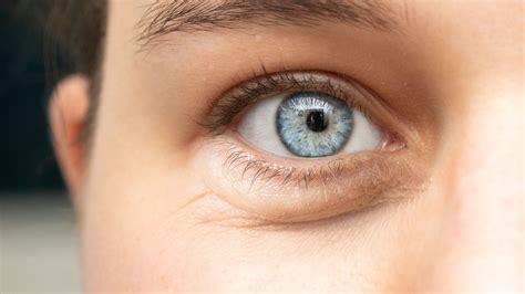 Eye Shapes: Types, Make up and How to Identify