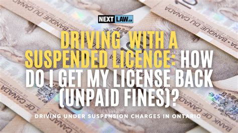 Can Wilber And Associates Suspend My License - EMSEKFLOL.COM