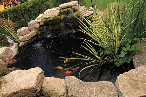 Butterfly Spanish Tutorial 的图像结果