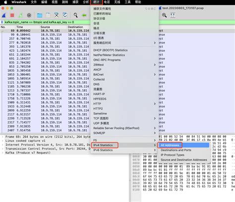 Hcpp IP Network Dump Free 的图像结果