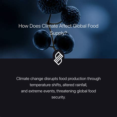Food Production → Term