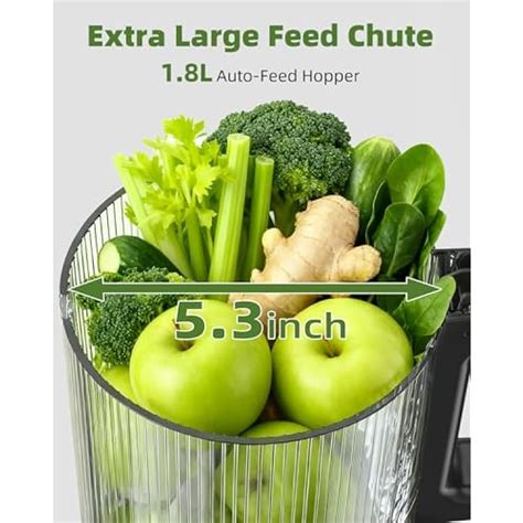 ACOQOOS Cold Press Juicer, Auto Feed & Pre-cut, 55 RPM Slow India | Ubuy