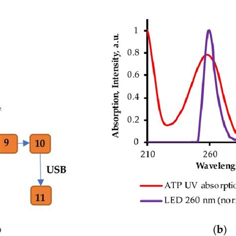Image result for How a Sensor Work