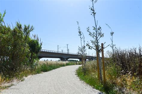 El AMB concluye la mejora del río Llobregat en Sant Boi, Sant Vicenç ...