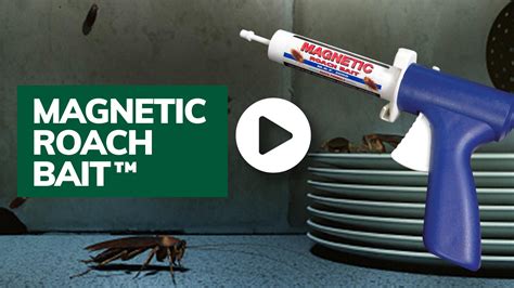 Magnetic Roach Bait™ - Boric Acid Bait Gun | Nisus Corp