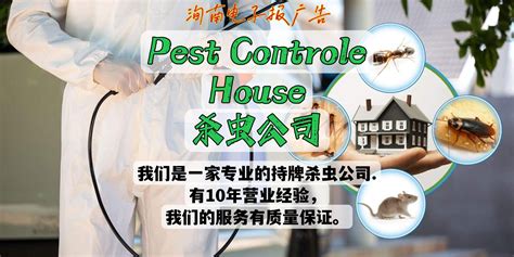 Pest Controle House杀虫公司 - 洵南中文网｜广义堂