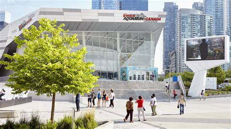 2,767 PATH Underground Shopping Mall Hotels from ₹17,935, Downtown ...