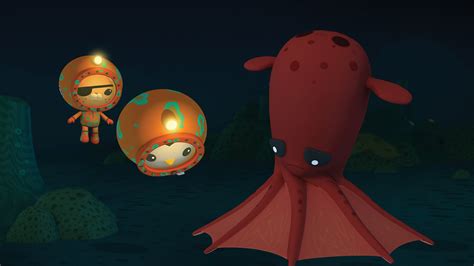 Vampire Squid Vampire Squid Animal Facts Vampire