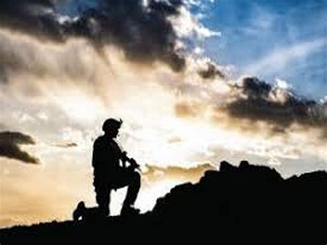 Environmental light affects long-term memory in Drosophila flies