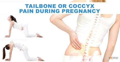How To Relieve Tailbone Pain During Pregnancy - Heightcounter5