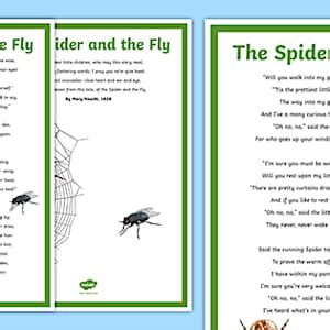 The Spider and the Fly Poem - KS2 Print-Outs - Twinkl