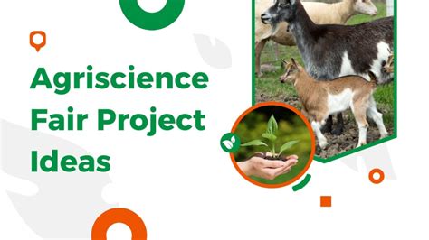 Agricultural Science Projects 的图像结果