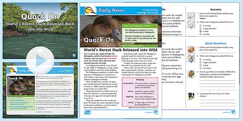 LKS2 Rarest Duck Daily News Resource Pack (teacher made)