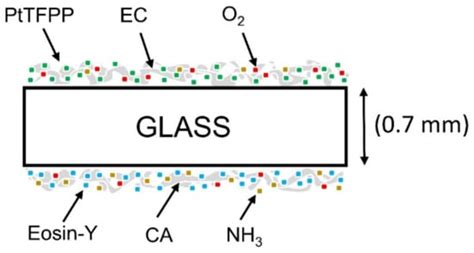 An Effective Optical Dual Gas Sensor for Simultaneous Detection of ...