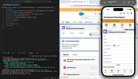 Local Dev Environment 的图像结果