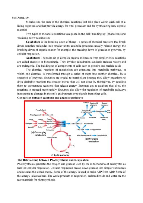 Sem 01 Pharmacy Unit - 5 Metabolism - METABOLISM Metabolism, the sum of ...