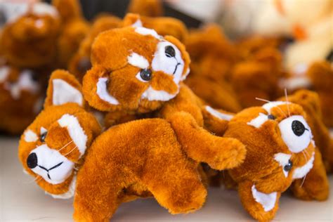D'source Products | Soft Toys - Sikkim | D'Source Digital Online ...