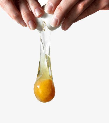 鸡蛋坏了不知道，教大家几个小技巧，可以轻松的辨别鸡蛋_哔哩哔哩_bilibili