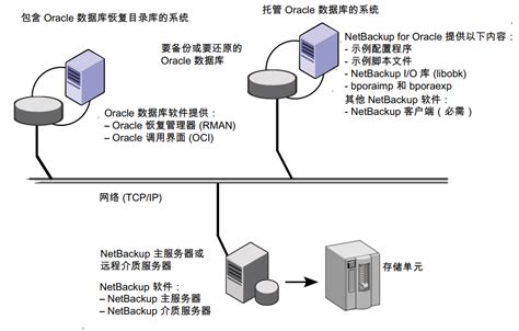 NetBackup Tutorial 的图像结果