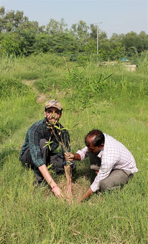 CUES plantation photos | Dr. B. R. Ambedkar University Delhi