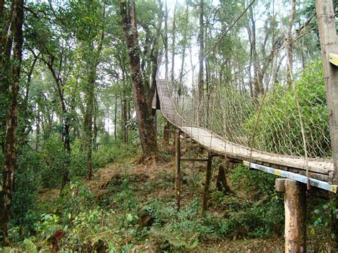 The Best Summer Vacation Places Near Kolkata | WhatsHot Kolkata