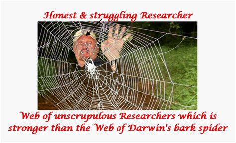 Image result for Realistic Spider Web