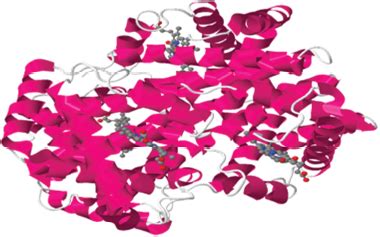 Molecular docking and its application in search of antisickling agent ...