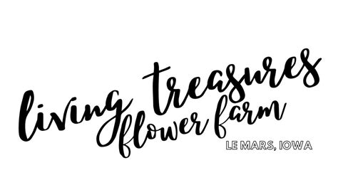 Living Treasures Flower Farm at the Sioux City Farmers Market, Sioux ...