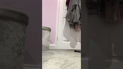 Image result for Backbend Tutorials