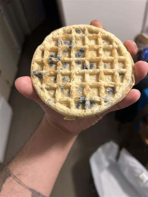 Thanks, I hate mold waffles : r/WowIActuallyHateThis