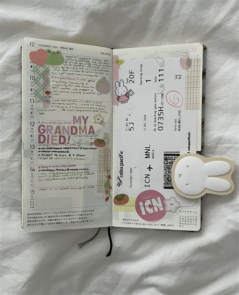 Image result for Drawing References for Beginers