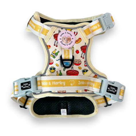 Cute Dog Harnesses – Zelda & Harley