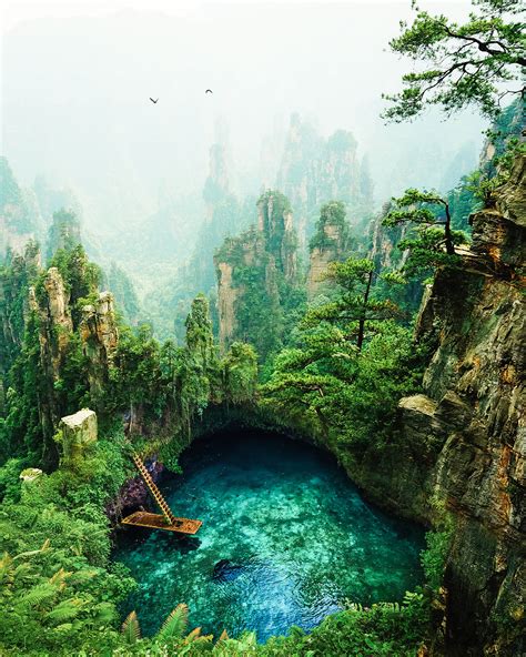 Image result for paradise